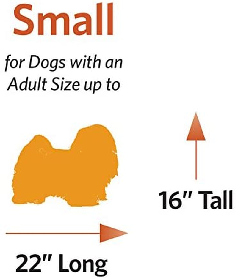 Newly Enhanced Single & Double Door Icrate Dog Crate, Includes Leak-Proof Pan, Floor Protecting Feet, Divider Panel & New Patented Features