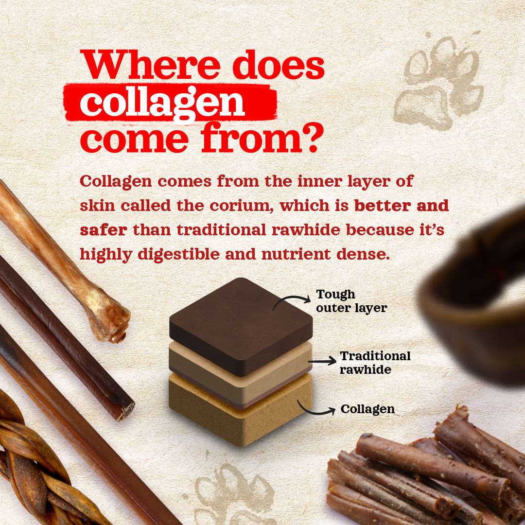 6 Inch Beef Collagen Sticks