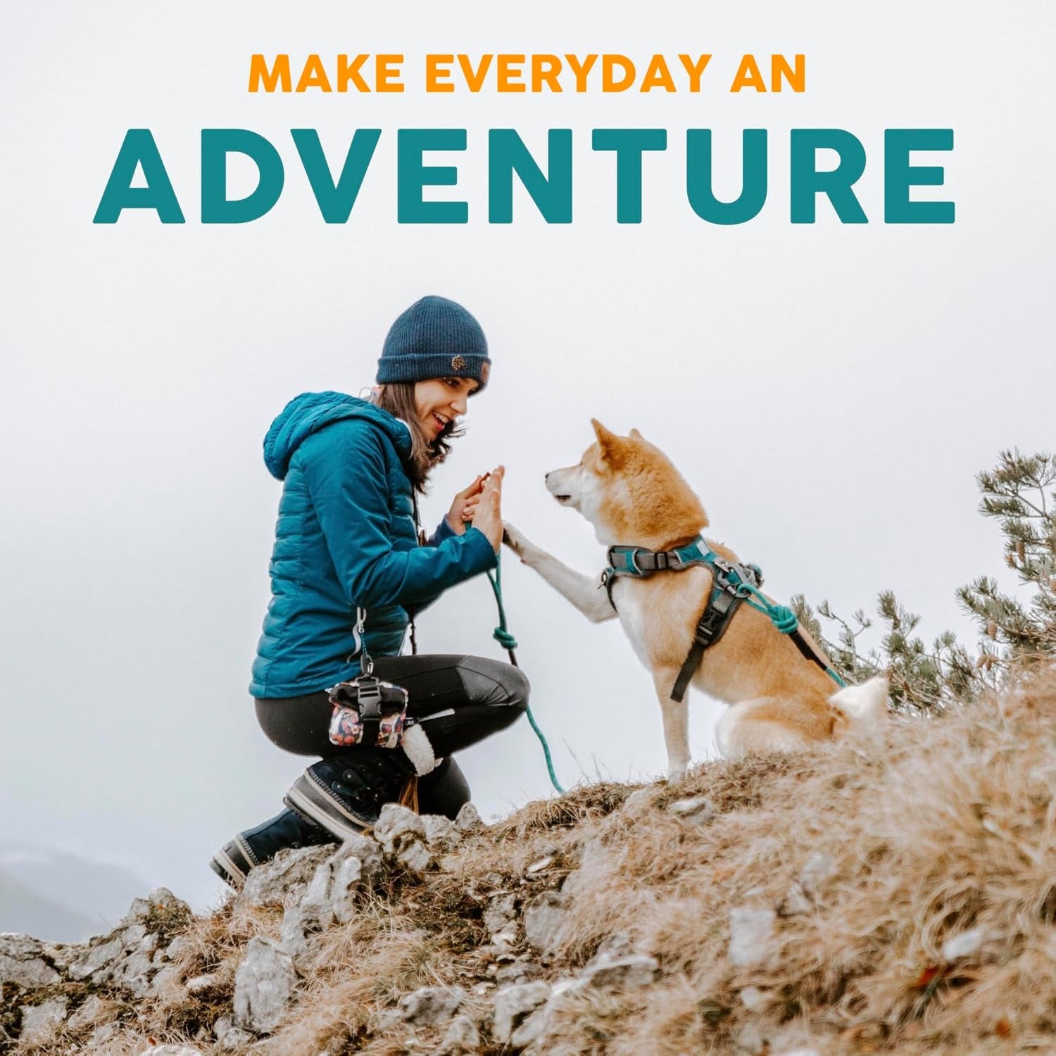 Embark Adventure Dog Collar – Stylish & Durable Nylon Dog Collars for Large Dogs, Comfortable Pet Collar, Collars for Large Breed Dogs with Strong Buckles. Adjustable Big Dog Collars for Large Dogs